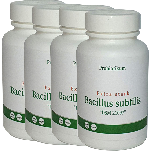 Bacillus subtilis "extra stark" 1 Jahr (+10% mehr Inhalt gegenüber der Monatsdose)