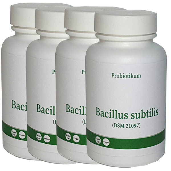 Bacillus subtilis DSM 21097 "Standard" 1 Jahr